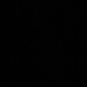 Meet your Posher, Precious